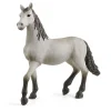 Figurine cheval : Poulain pure race espagnole - Schleich