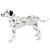 Figurine Chien : Dalmatien - Papo