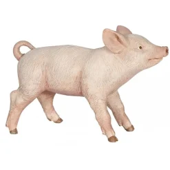 Figurine cochon : Cochonnet femelle - Papo