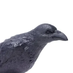 Figurine Corbeau - Safari Ltd