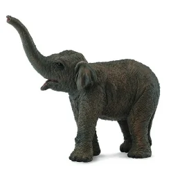 Figurine Eléphant d'Asie : Bébé - Figurines Collecta