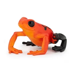 Figurine grenouille équatoriale - Papo