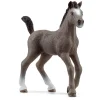 Figurine Horse Club : Poulain Selle Français - Schleich