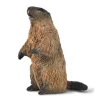 Figurine Marmotte - (S) - Figurines Collecta
