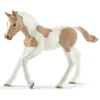 Figurine poulain Paint Horse - Schleich