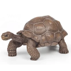 Figurine Tortue des Galapagos - Papo