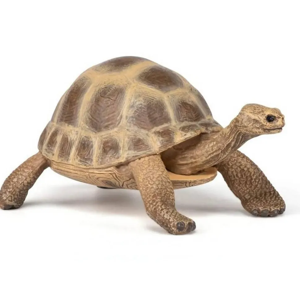 Figurine Tortue d'Hermann - Papo