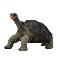 Figurine Tortue géante des Galapagos - Figurines Collecta