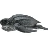 Figurine Tortue Luth - Figurines Collecta