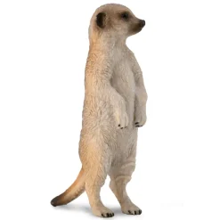 Figurine Animaux Sauvages (S): Suricate - Figurines Collecta