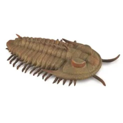 Figurine Préhistoire (L): Redlichia Rex Trilobite - Figurines Collecta