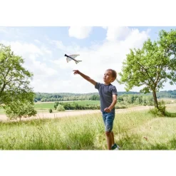 Fronde-oiseau - Terra Kids - Haba