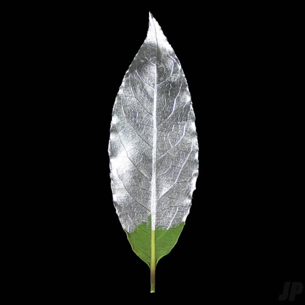 GILD Peinture acrylique émail à dorer argent (pot de 60ml) - Guild Materials