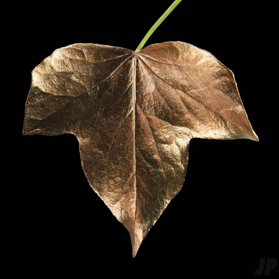 GILD Peinture acrylique émail à dorer Bronze (60ml ml) - Guild Materials