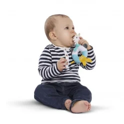 Hochet Shake & Chew Sophie la Girafe - Vulli
