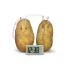 Kit de fabrication Green Science : Horloge pomme de terre - 4M