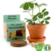 Kit de jardinage : Graines de Cacahuètes avec pot 8 cm - Radis et Capucine