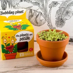 Kit de jardinage : Plante qui pétille avec pot 8 cm - Radis et Capucine
