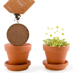 Kit de jardinage : Plante qui pétille avec pot 8 cm - Radis et Capucine