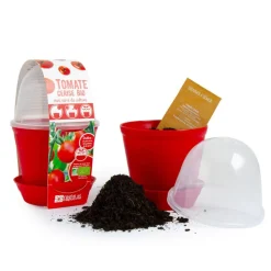 Kit de jardinage : Pot cloche Tomate cerise bio - Radis et Capucine