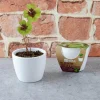 Kit de jardinage : Pot céramique Trèfle à 4 feuilles - Radis et Capucine