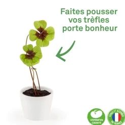 Kit de jardinage : Pot céramique Trèfle à 4 feuilles - Radis et Capucine