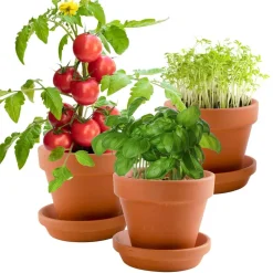 Kit de jardinage : Trio 3 pots plantes gourmandes bio - Radis et Capucine