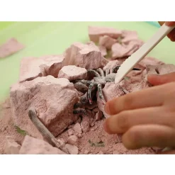 Kit d'excavation d'Insectes Kidzlabs - 4M