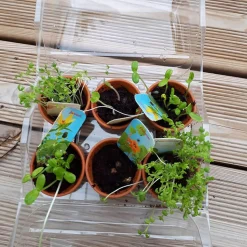 Kit Mini Serre de jardinage : Mon premier jardin à semer - Radis et Capucine