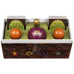 La course au vif d'or - Harry Potter - Spin Master