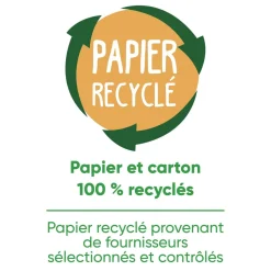 La table d'activités enchantée : Play for future - Clementoni