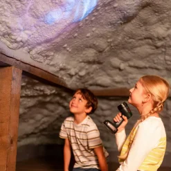 Lampe torche Bosch - Klein