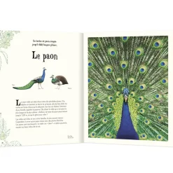 L'ANTHOLOGIE ILLUSTREE DES ANIMAUX FASCINANTS - Editions Auzou