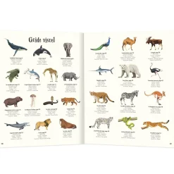 L'ANTHOLOGIE ILLUSTREE DES ANIMAUX FASCINANTS - Editions Auzou