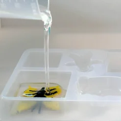 L'Atelier De Résine - Sentosphère