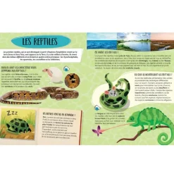 Le coffret méga atlas des Animaux : Atlas, cartes et animaux 3D - Sassi