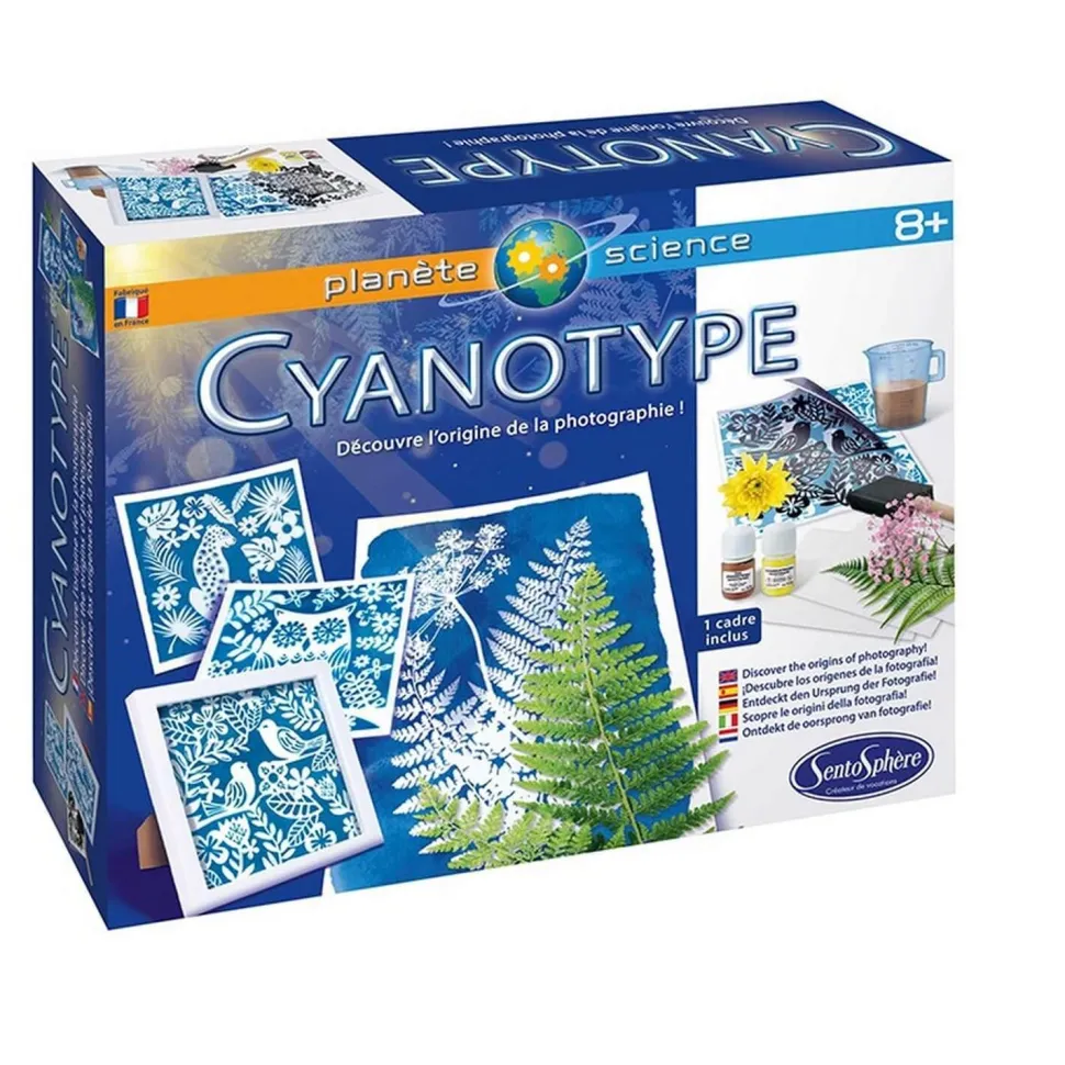 Le Cyanotype - Sentosphère