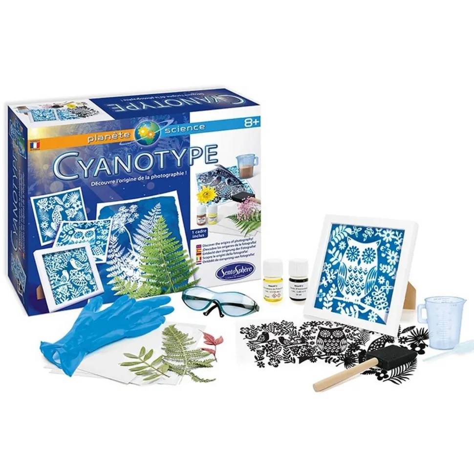 Le Cyanotype - Sentosphère