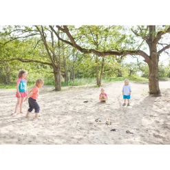 Le jeu des anneaux - BS Toys