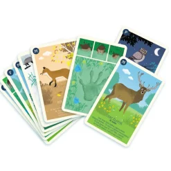 Les 9 Familles De La Forêt - Nathan