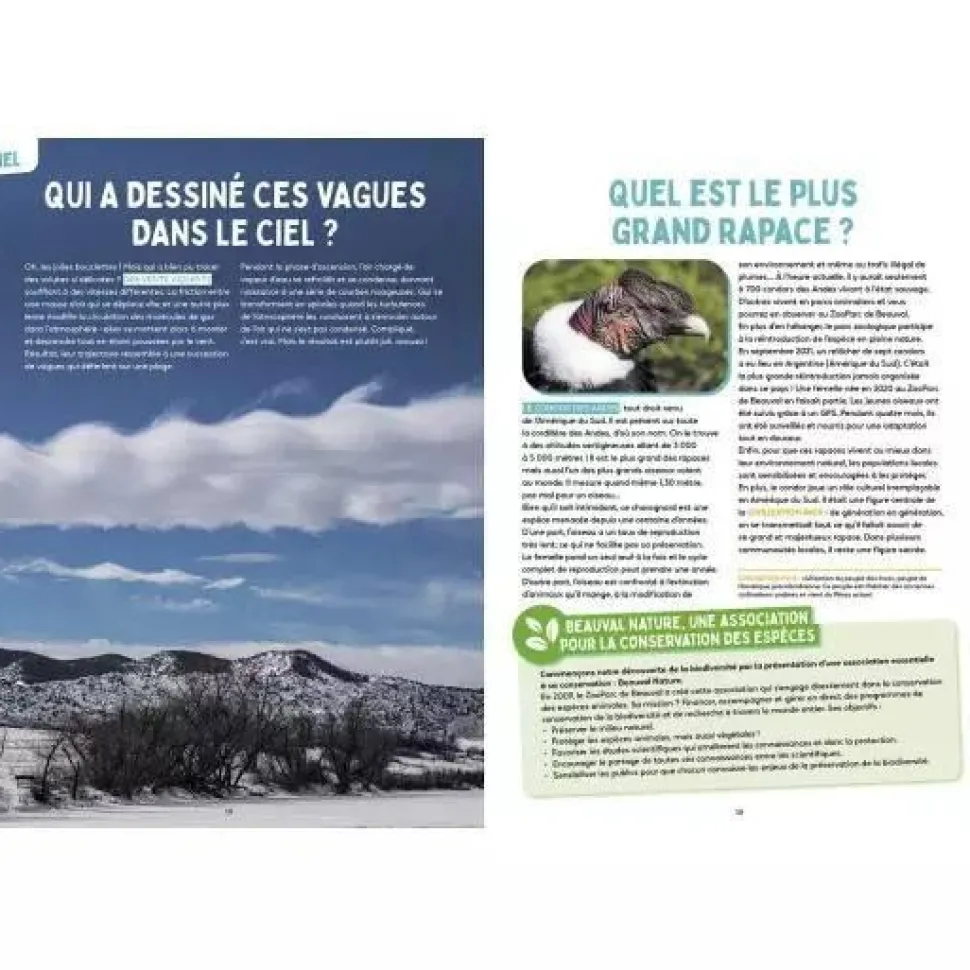 LES MYSTÈRES DE LA NATURE - SCIENCE & VIE JUNIOR - Editions Auzou