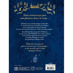 LES WHISPERWICKS - TOME 1 - LE LABYRINTHE SANS FIN - ÉDITION RELIÉE COLLECTOR - Editions Auzou