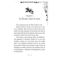 LES WHISPERWICKS - TOME 1 - LE LABYRINTHE SANS FIN - Editions Auzou