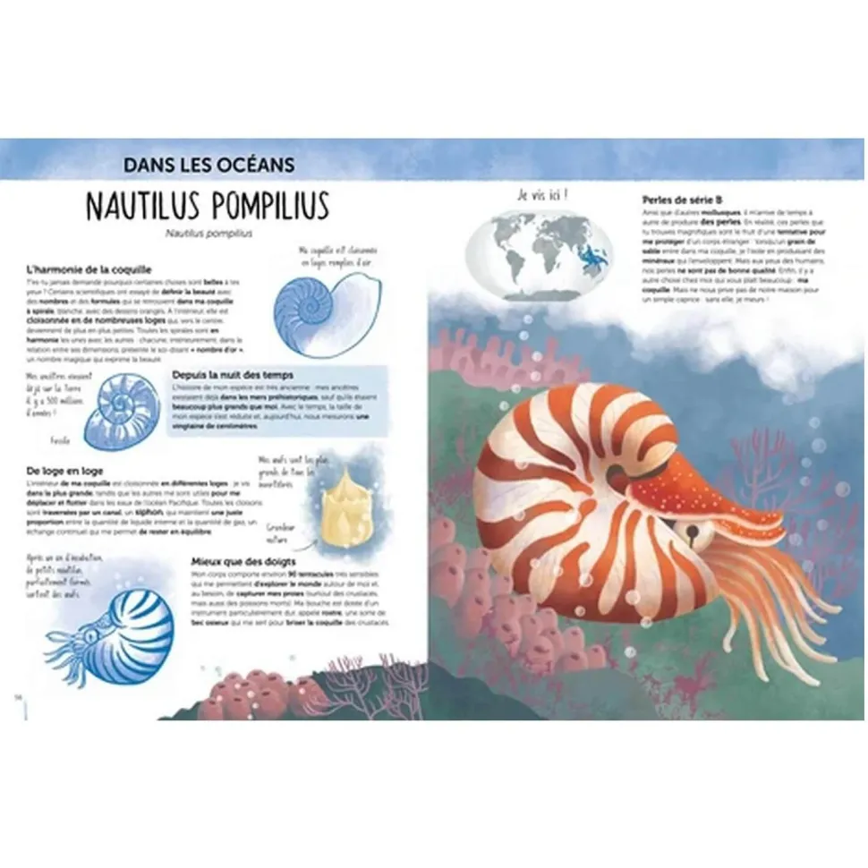 Livre de 64 pages : L'Atlas de la Biodiversité : Animaux Insolites & Curieux - Sassi
