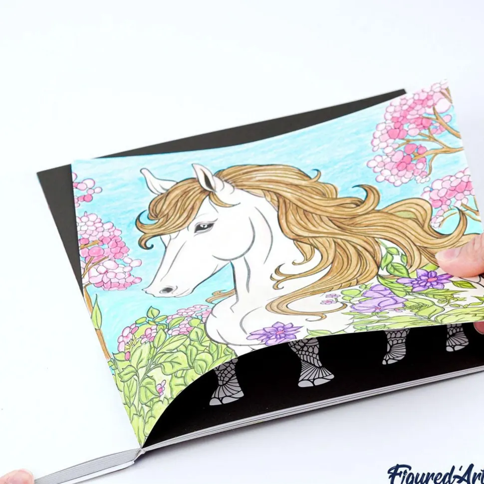 Livre de Coloriage Adulte - L'Univers des Animaux - 50 pages - Figured'Art