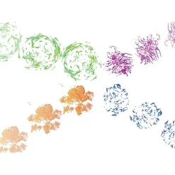 Lot de 4 baguettes de peinture - Eduplay