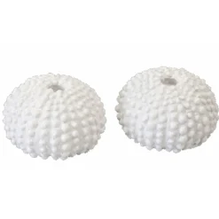 Lot de 2 squelettes d'Oursin blancs décos 4cm en résine - RueDeLaFete