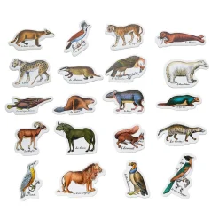 Magnets zoologiques de Buffon en bois - Muséum national d'Histoire naturelle - Vilac