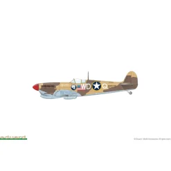 Maquette avion : Eagle´s Call, Edition limitée - Eduard