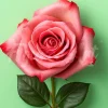 Mini broderie diamant : Superbe Rose - sans chassis en bois - Figured'Art